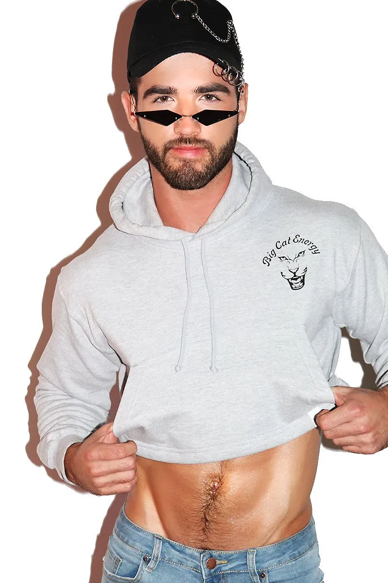 Big Cat Energy Long Sleeve Crop Hoodie- Grey