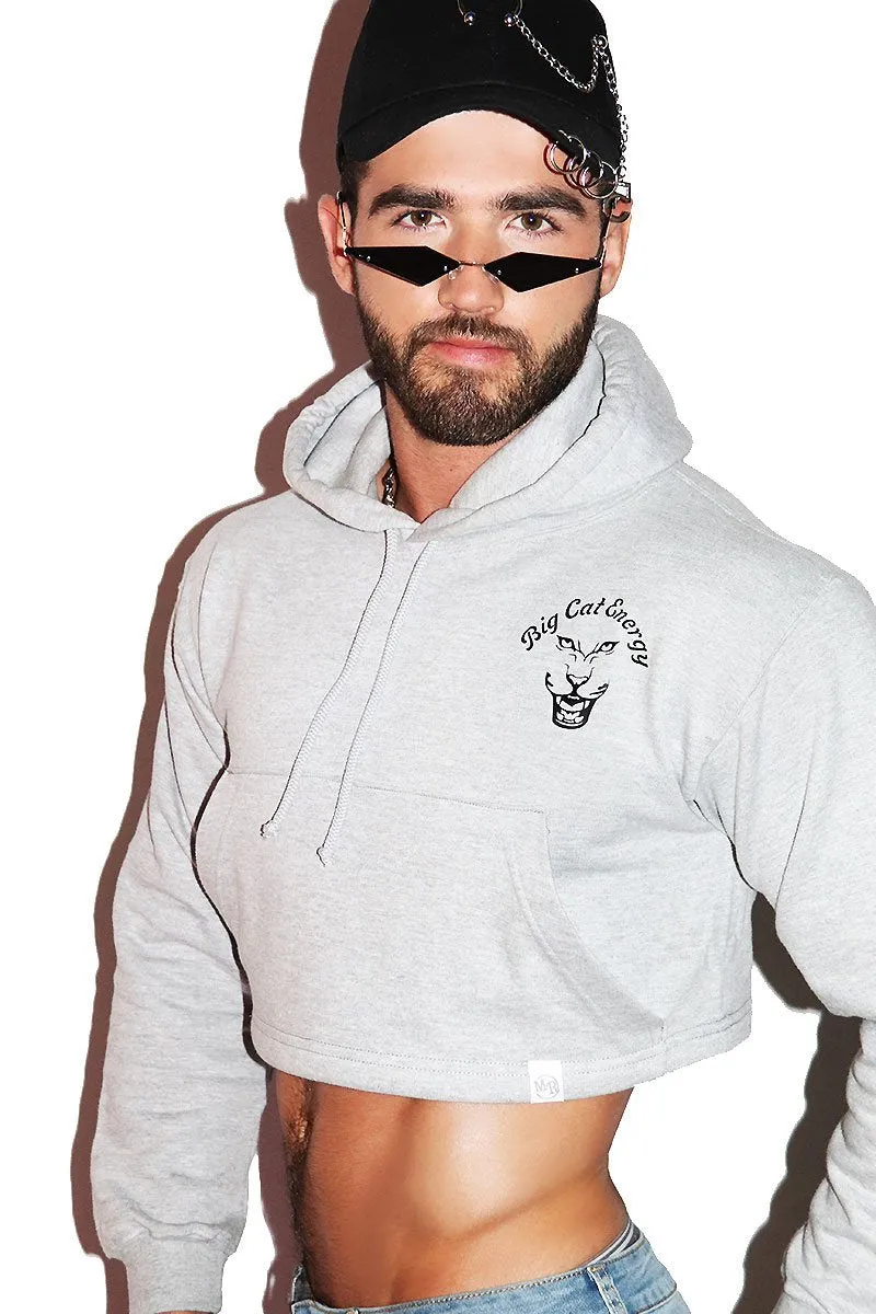 Big Cat Energy Long Sleeve Crop Hoodie- Grey