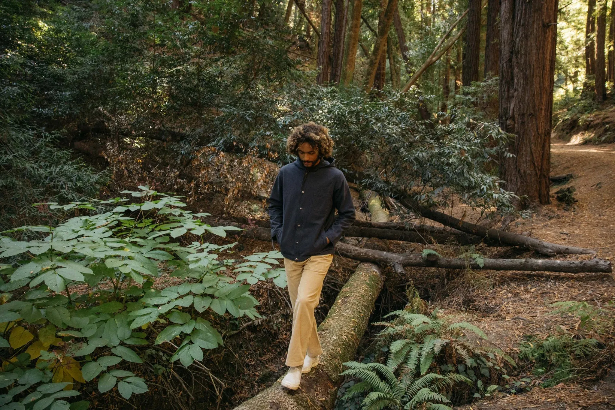 Hooded Deck Jacket - Navy